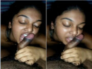 Lankan Girl Sucking Dick